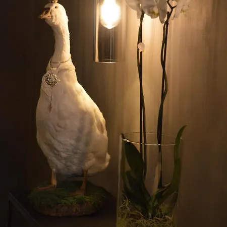 住宿加早餐酒店 Amato-brugge
